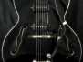 #111 Hollowbody