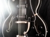 Hollowbody (10)