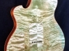 Semi Hollow  (15)