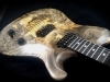 Buckeye Burl Serena (2)