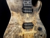 Buckeye Burl Serena (4)