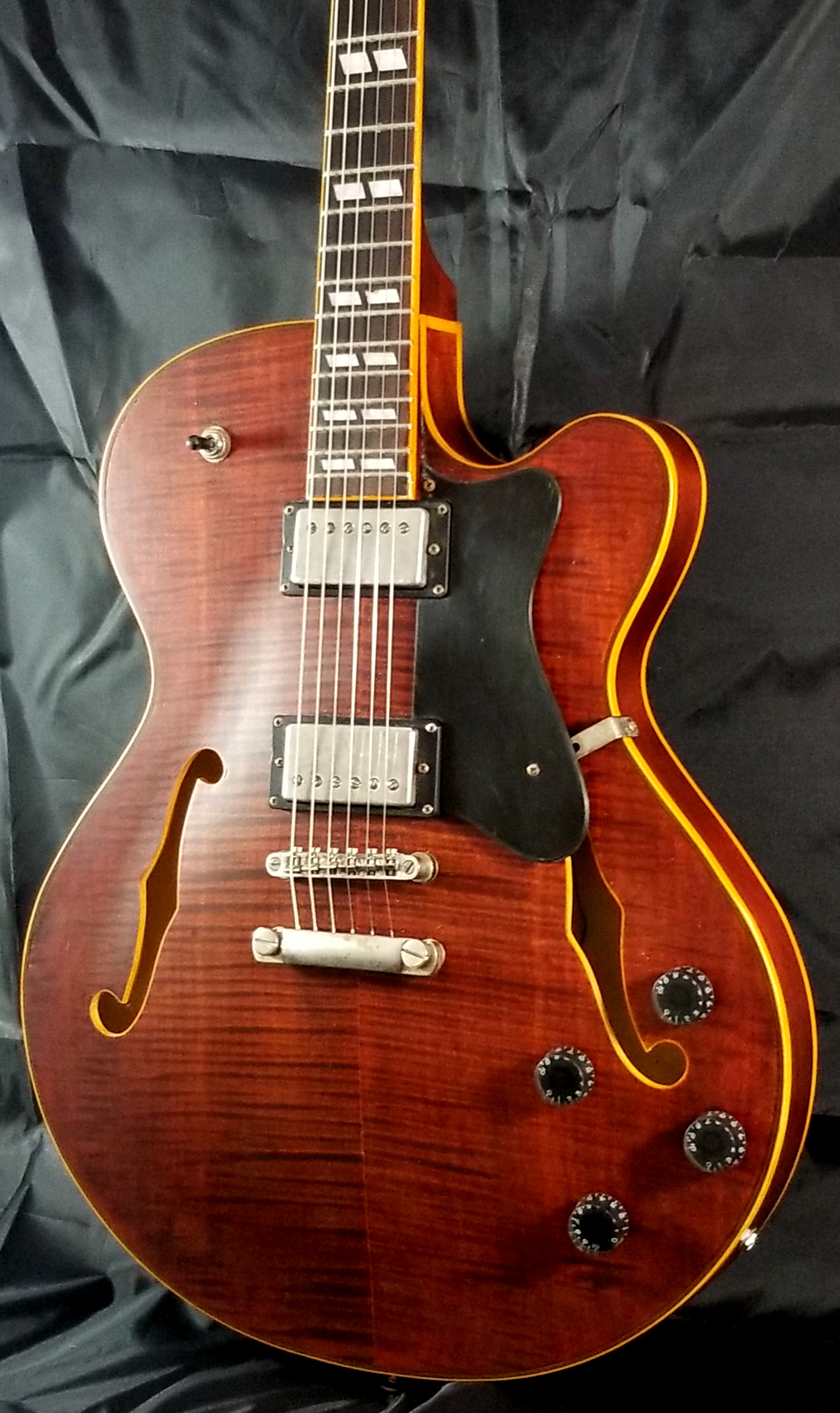 Hollowbody 295 (11)