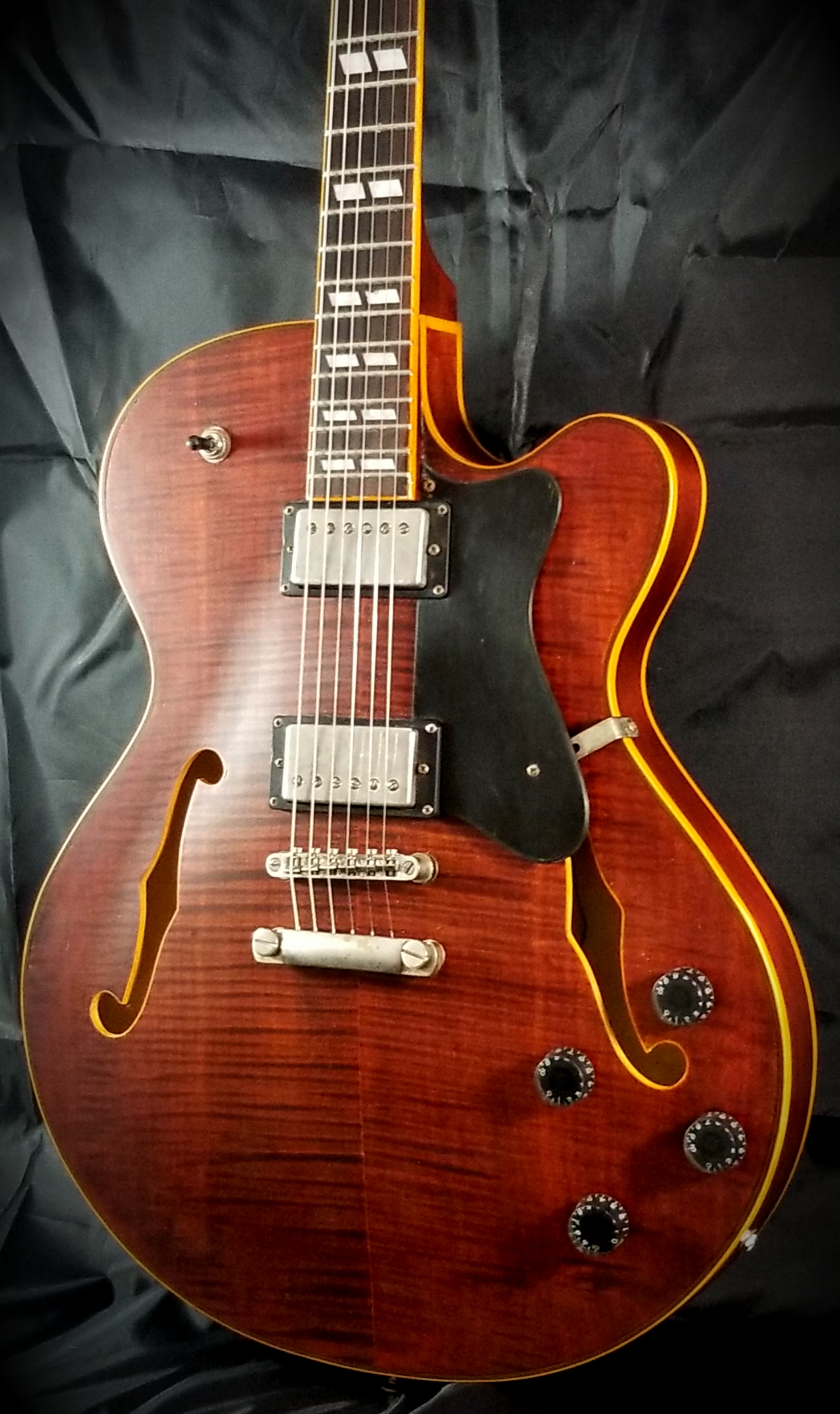 Hollowbody 295 (12)