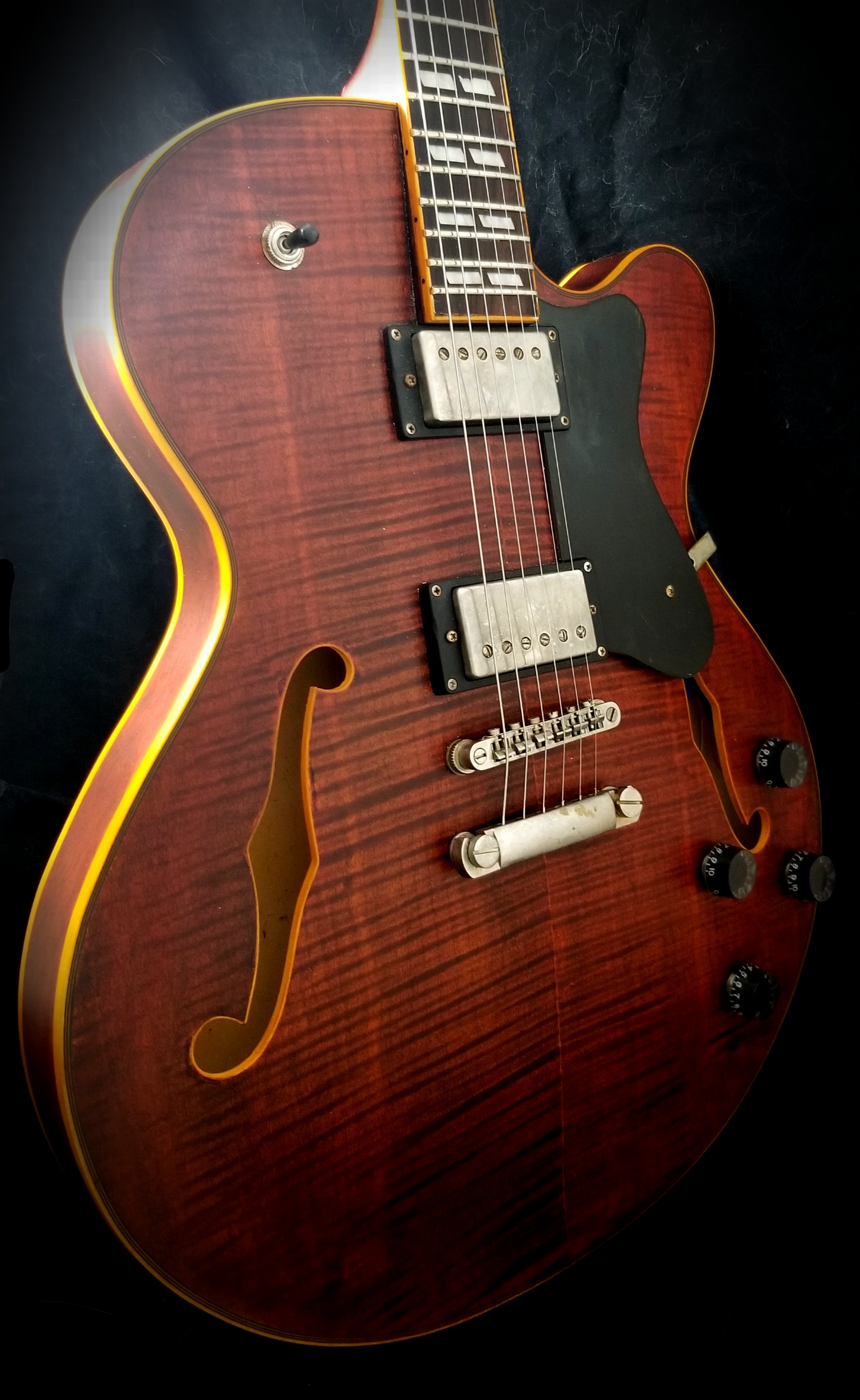 Hollowbody 295 (4)