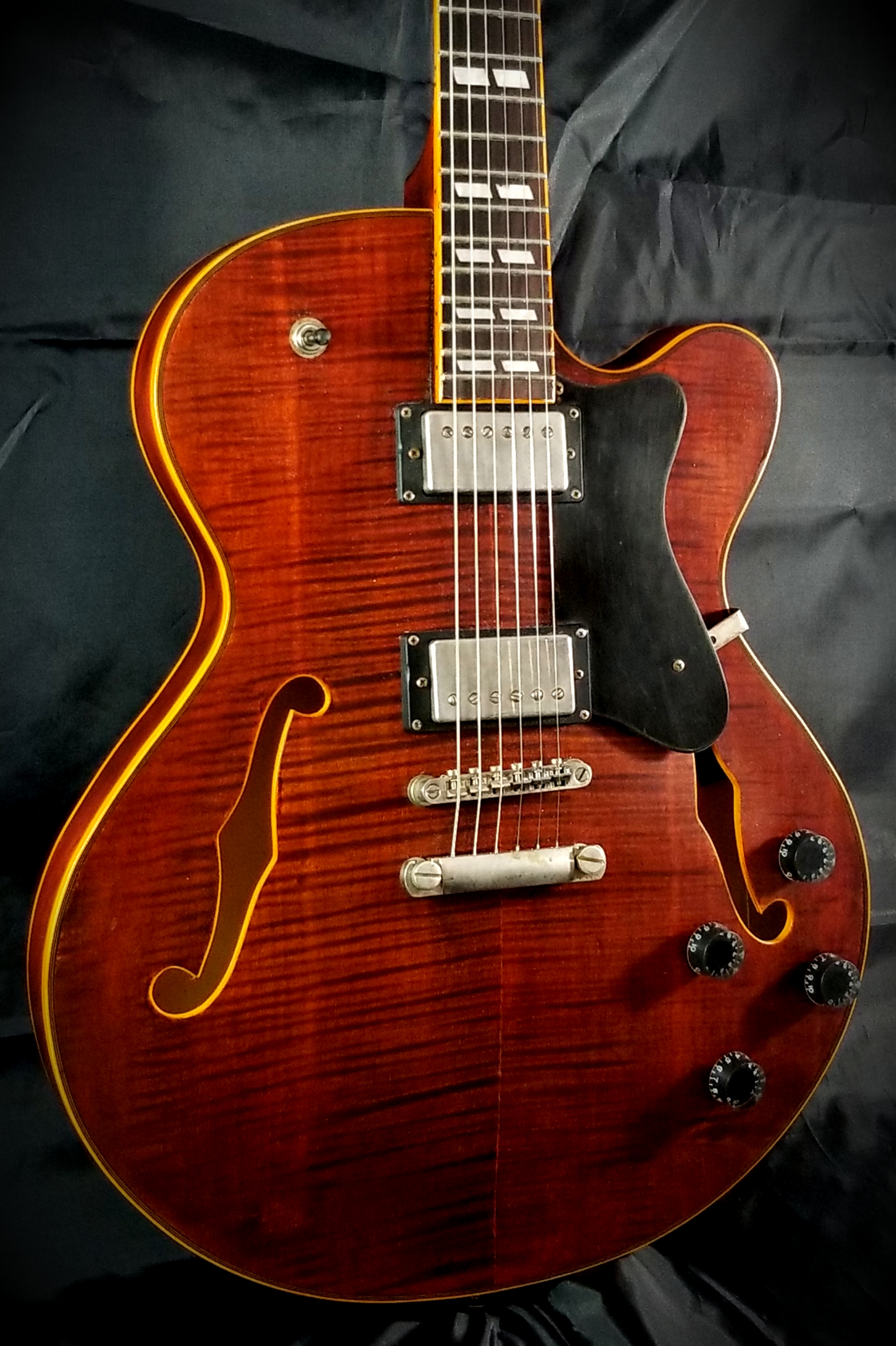 Hollowbody 295 (9)