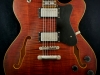 Hollowbody 295 (3)