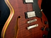 Hollowbody 295 (4)