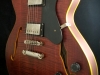 Hollowbody 295 (5)