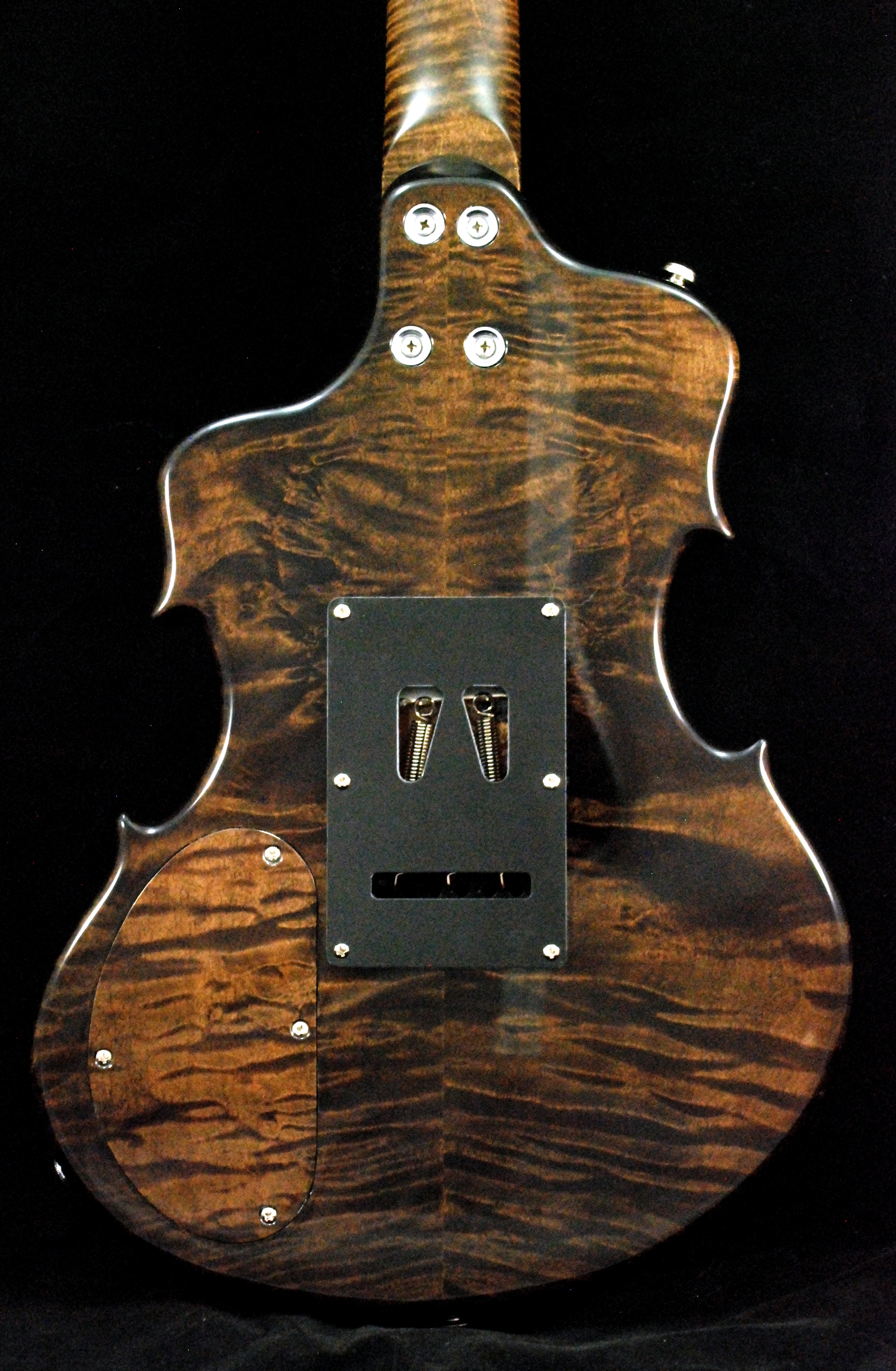 brown violin (19)