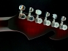 fretless raven (11)