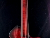 fretless raven (13)