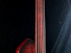 fretless raven (15)