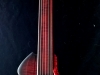 fretless raven (17)