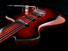 fretless raven (2)