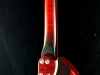 fretless raven (23)