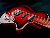 fretless raven (3)