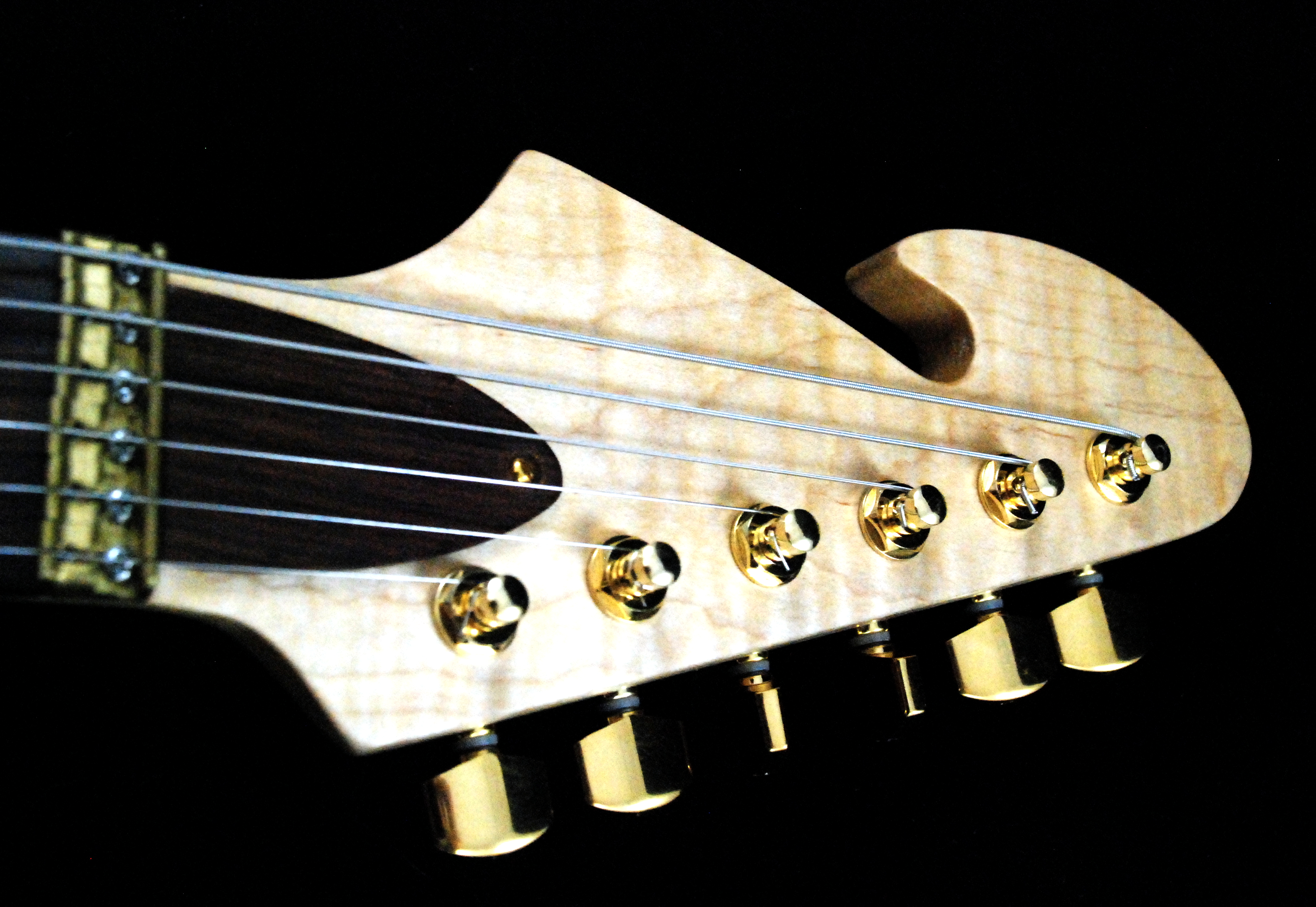 Fretless Raven (3)