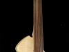 Fretless Raven (11)