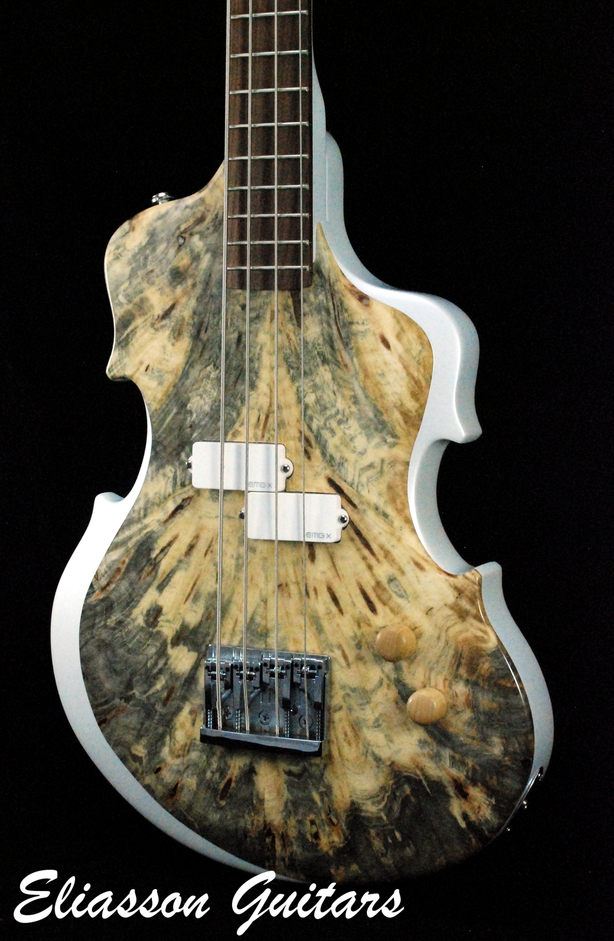 Bass Violin (10)