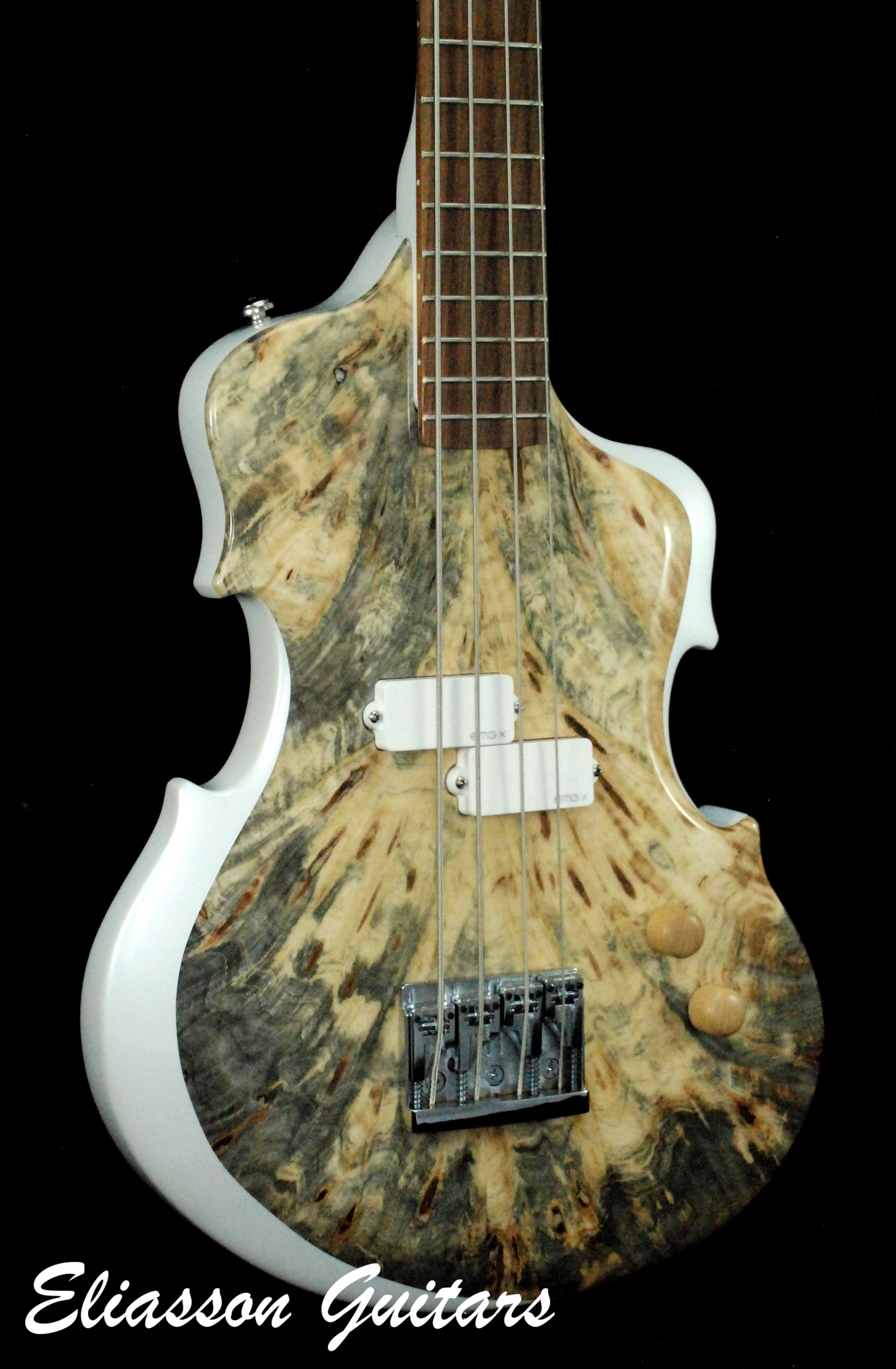 Bass Violin (12)