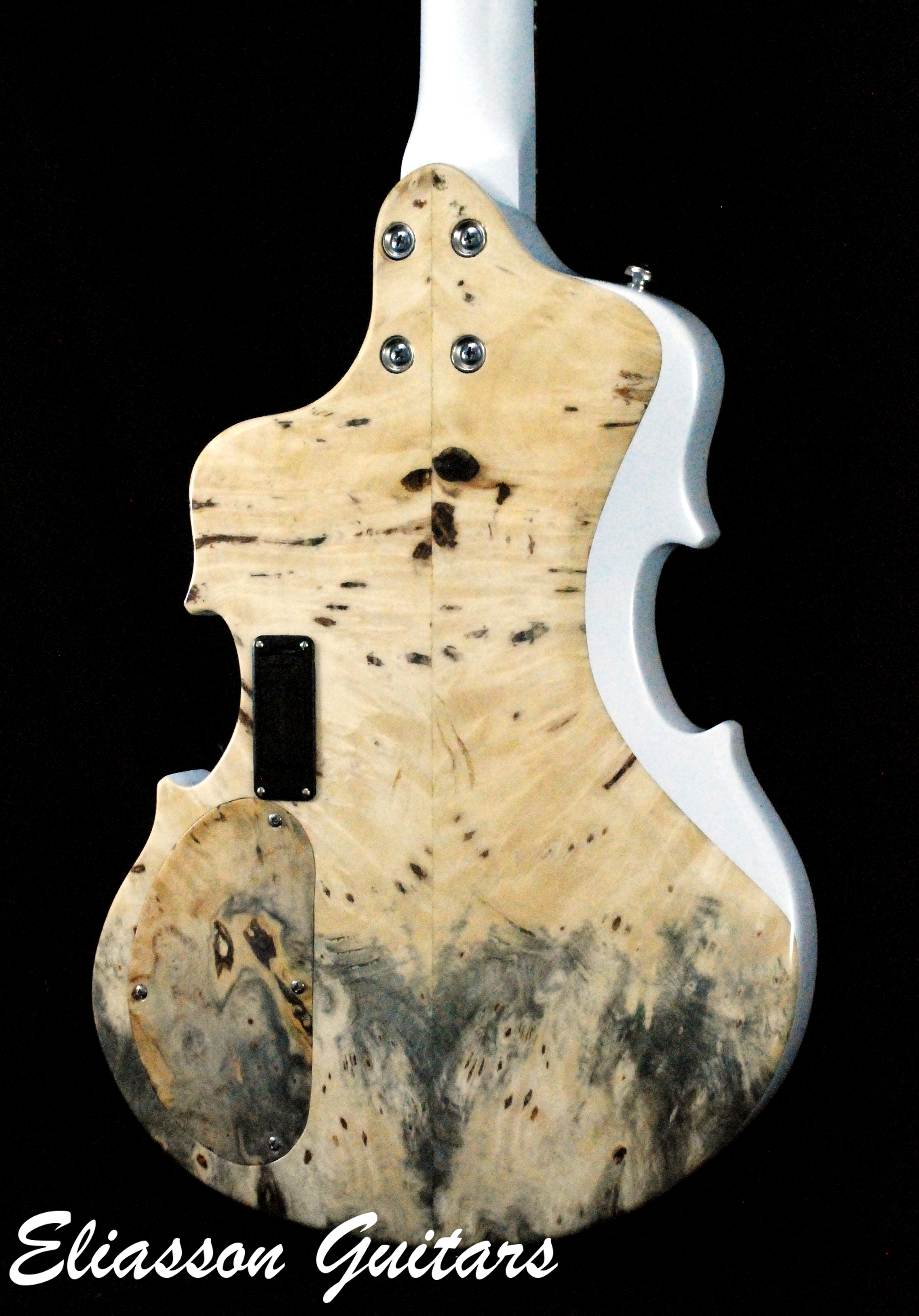 Bass Violin (16)