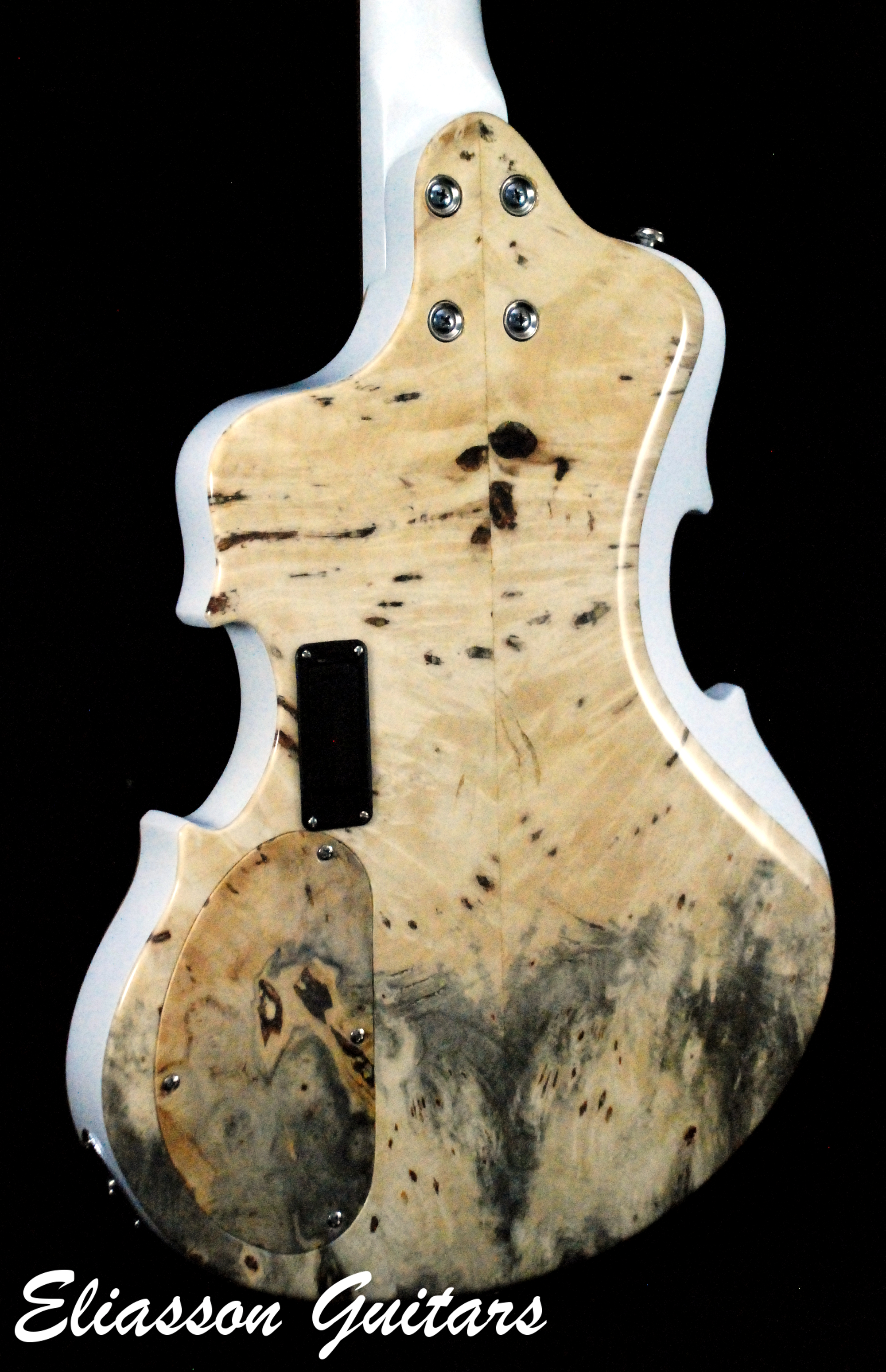 Bass Violin (18)