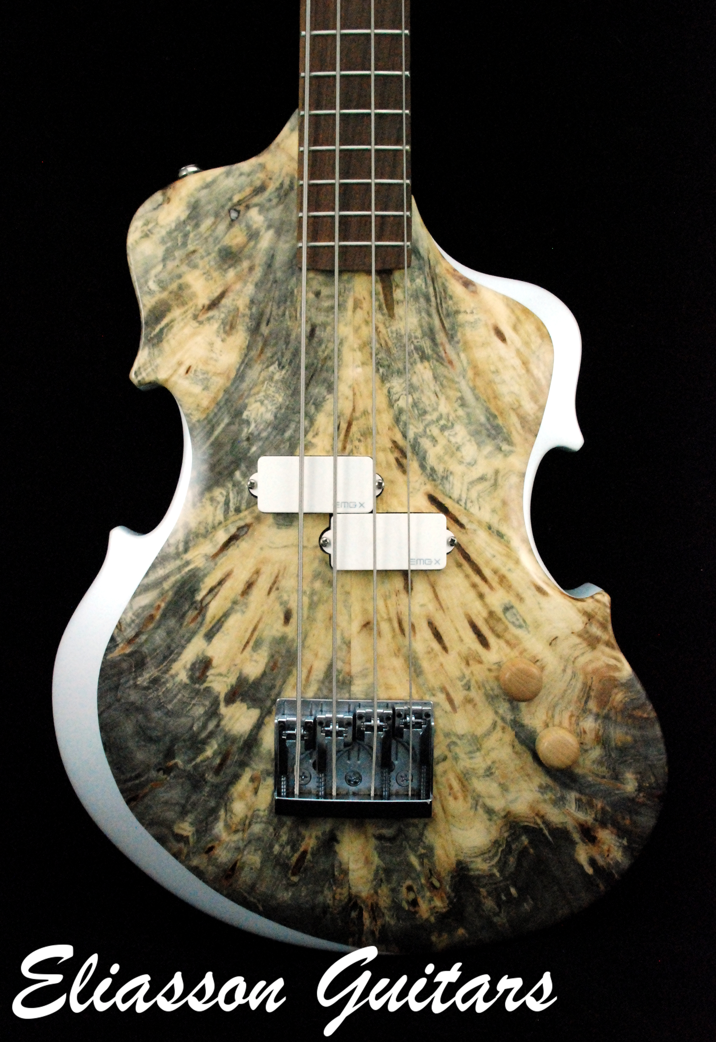 Bass Violin (3)