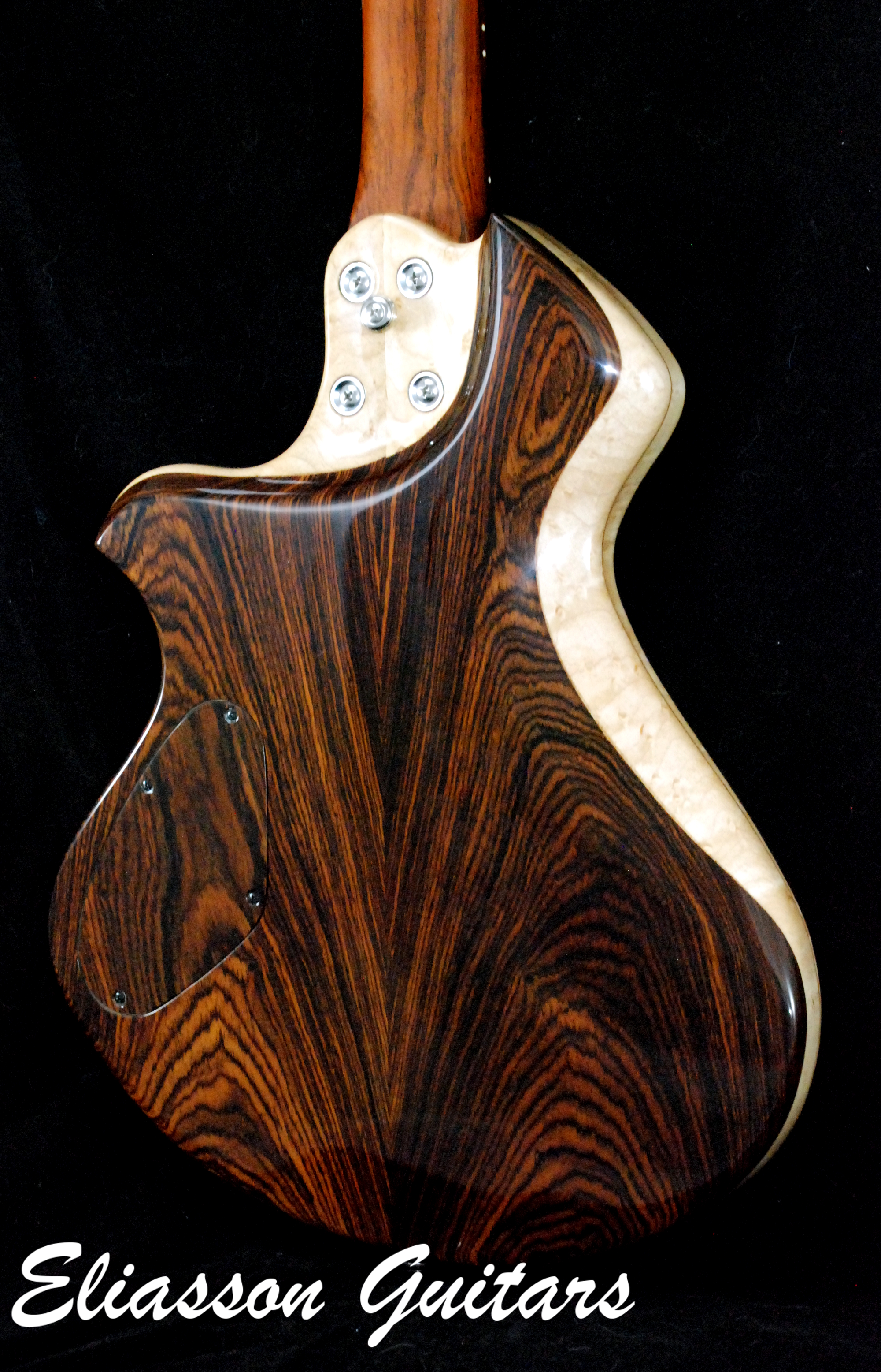 Cocobolo Raven (16)