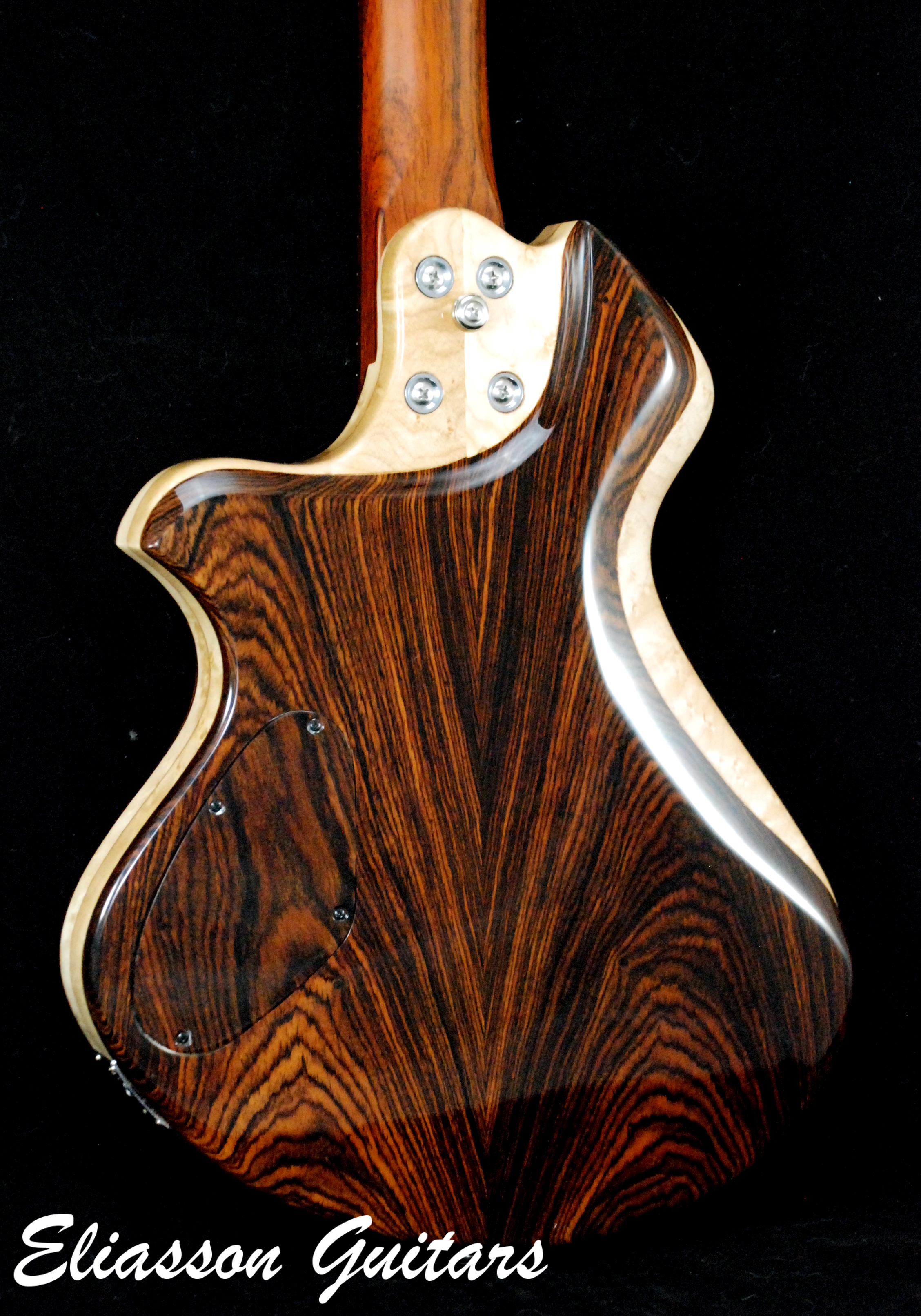 Cocobolo Raven (18)