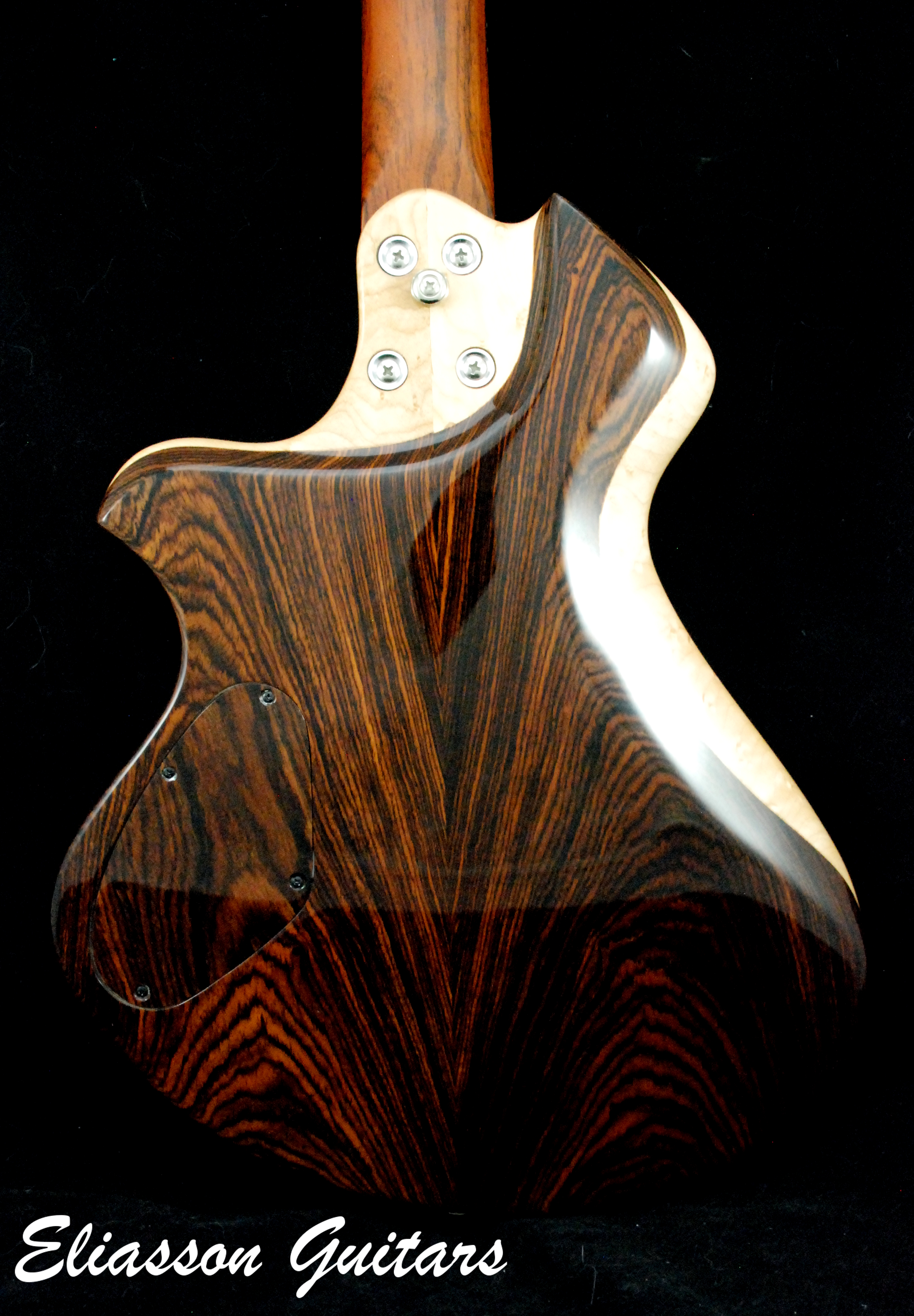 Cocobolo Raven (6)