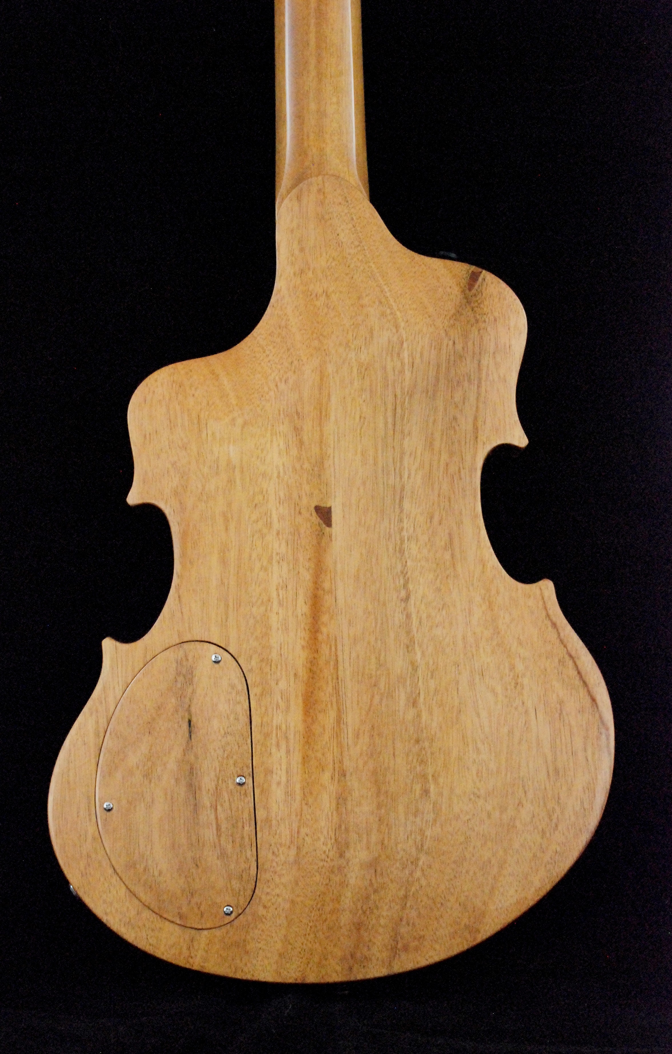 Hollow body violin (12)