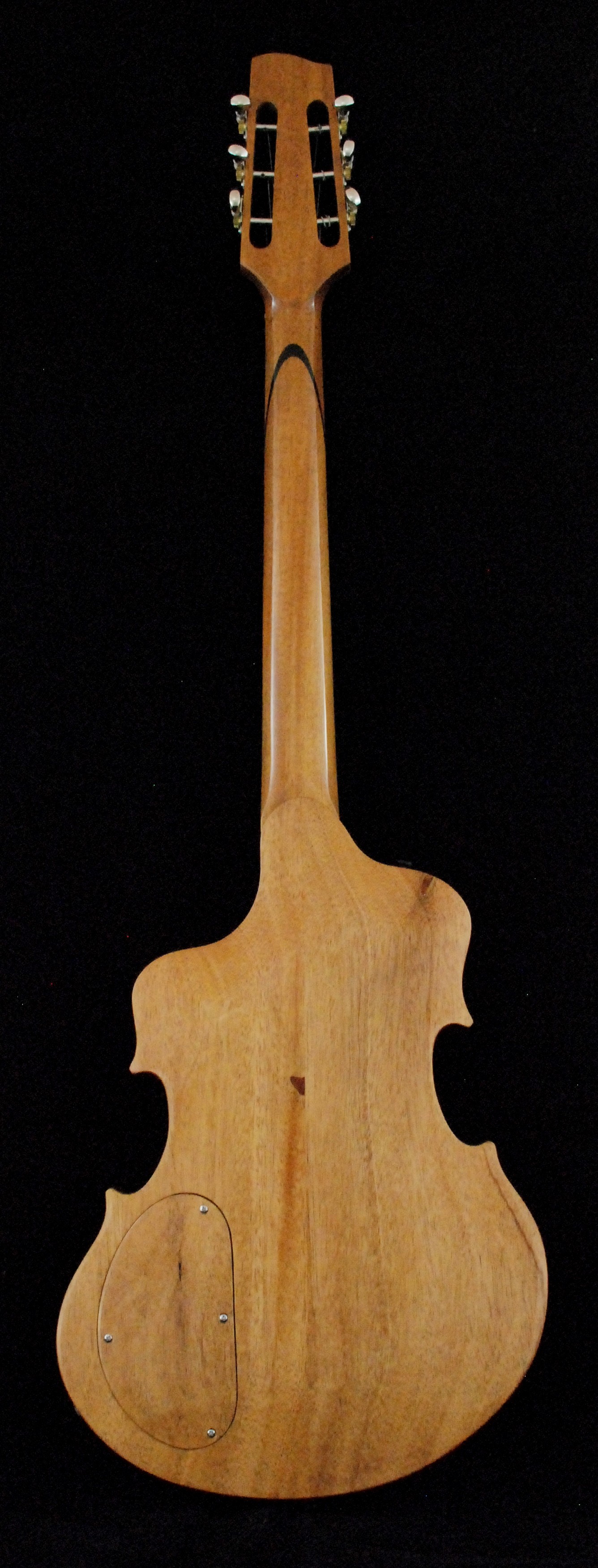 Hollow body violin (13)