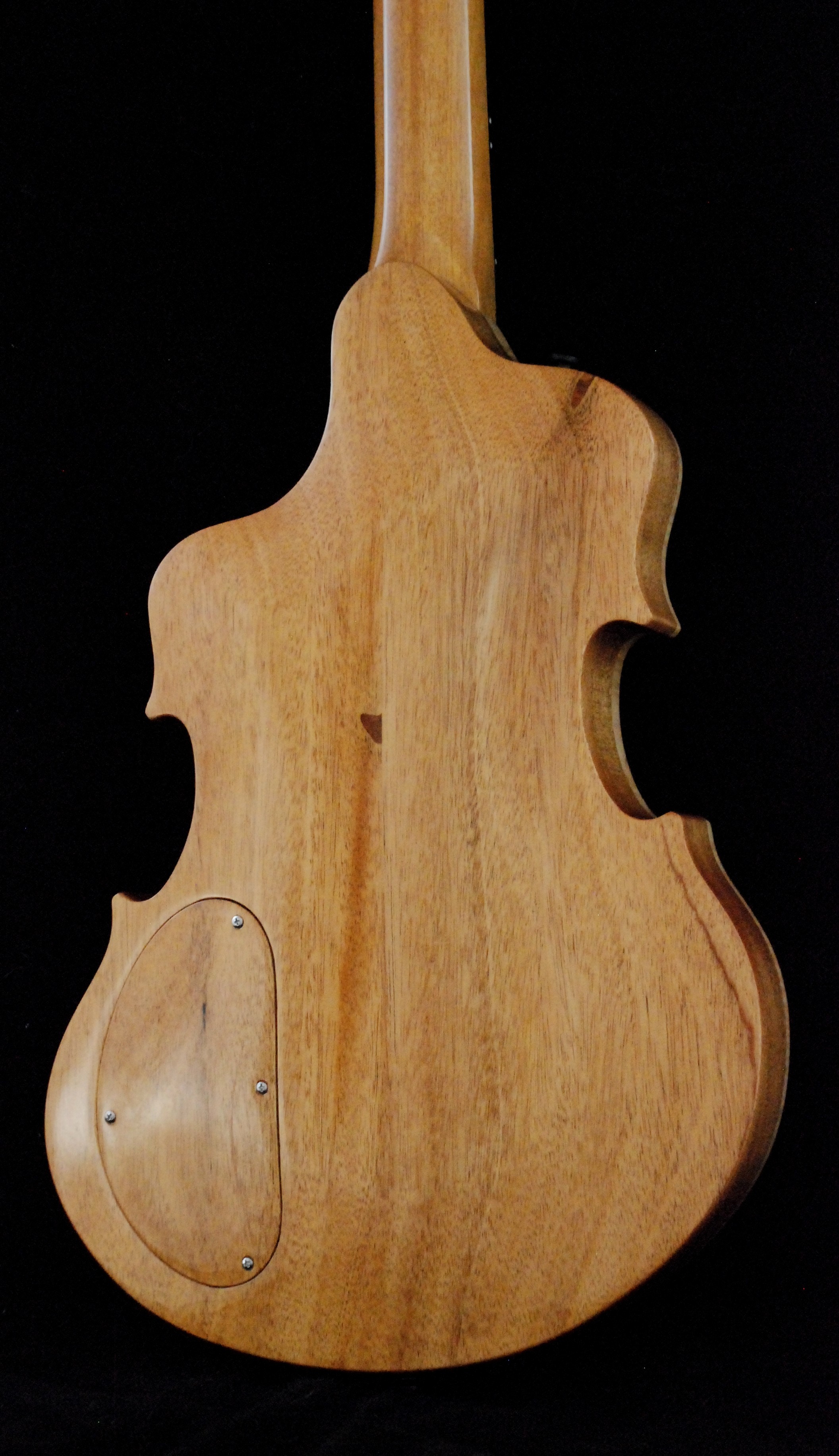 Hollow body violin (16)
