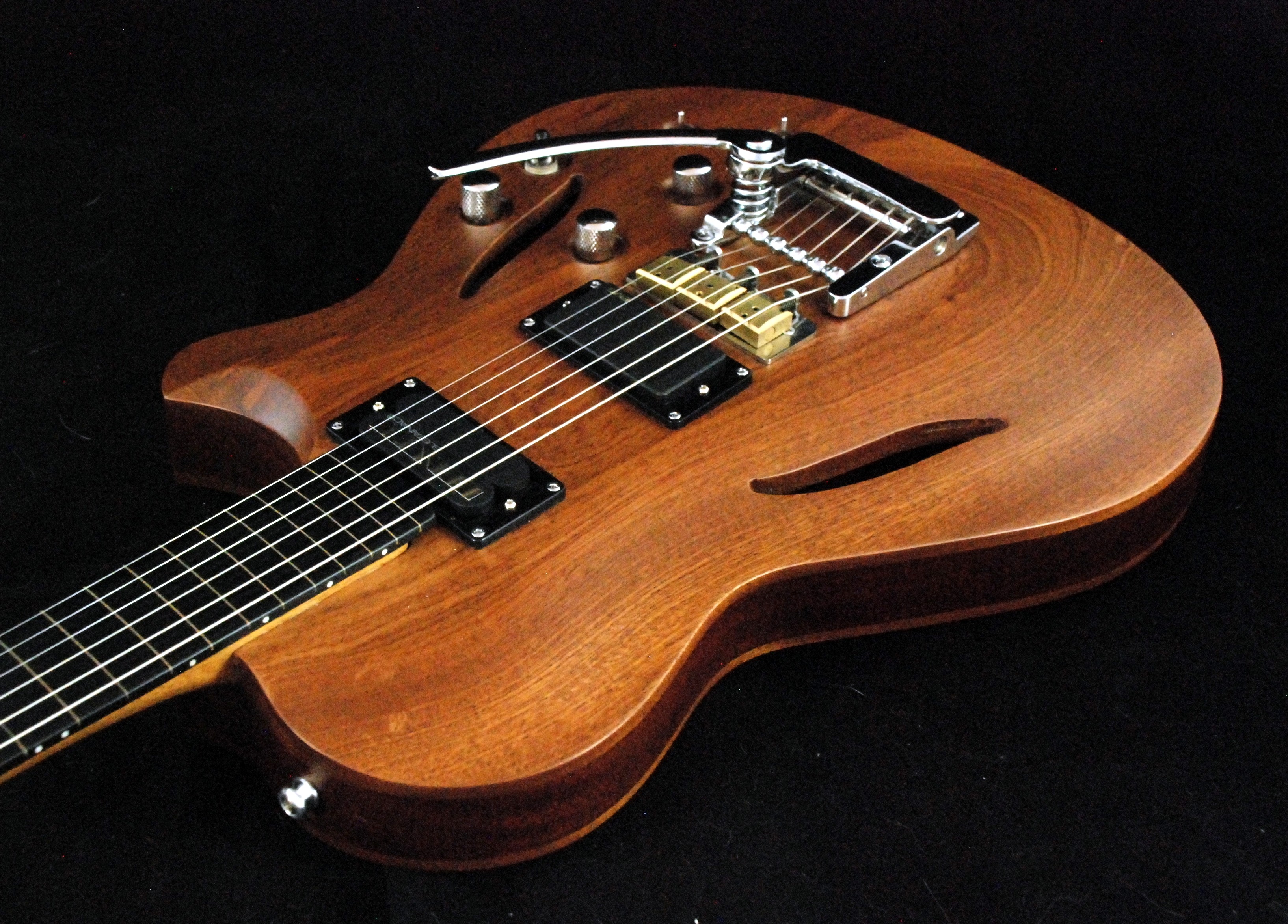 hollow body sitar (1)