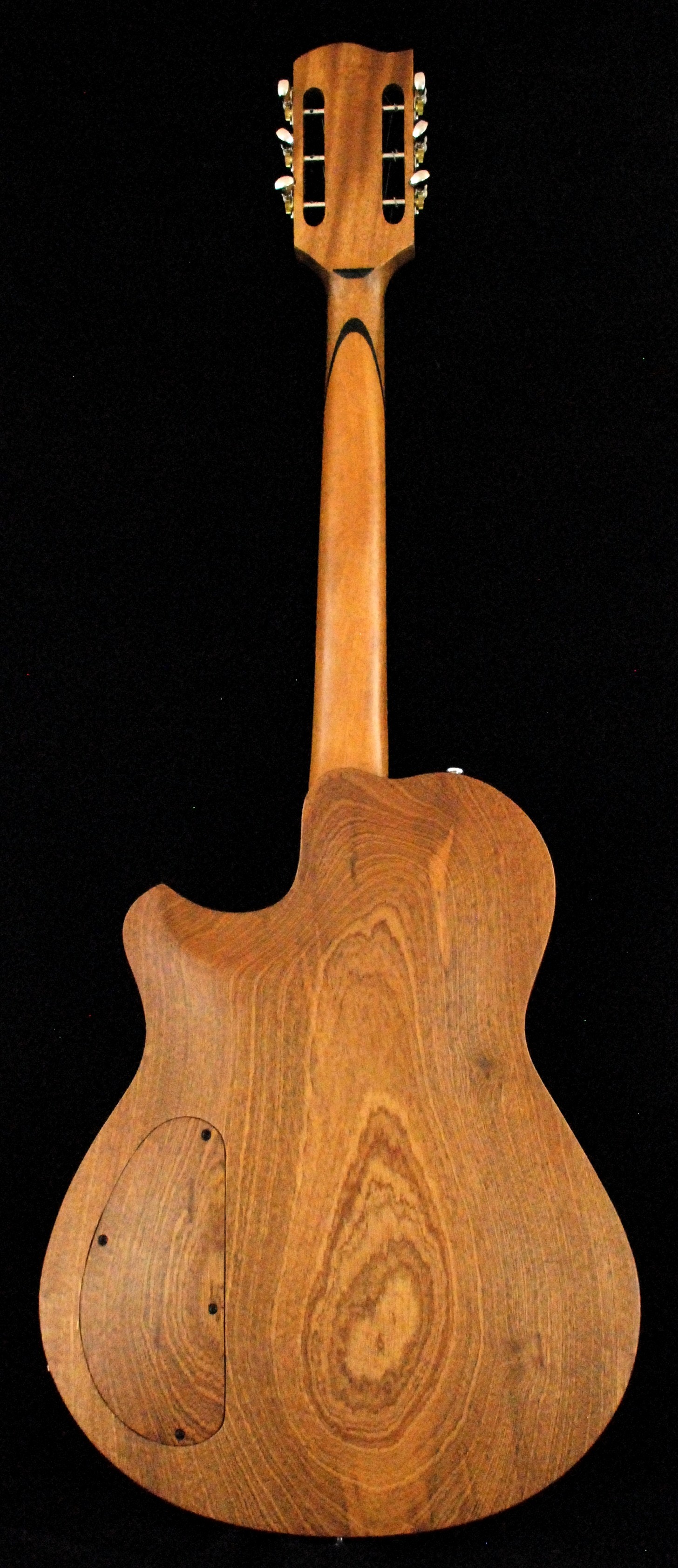 hollow body sitar (10)