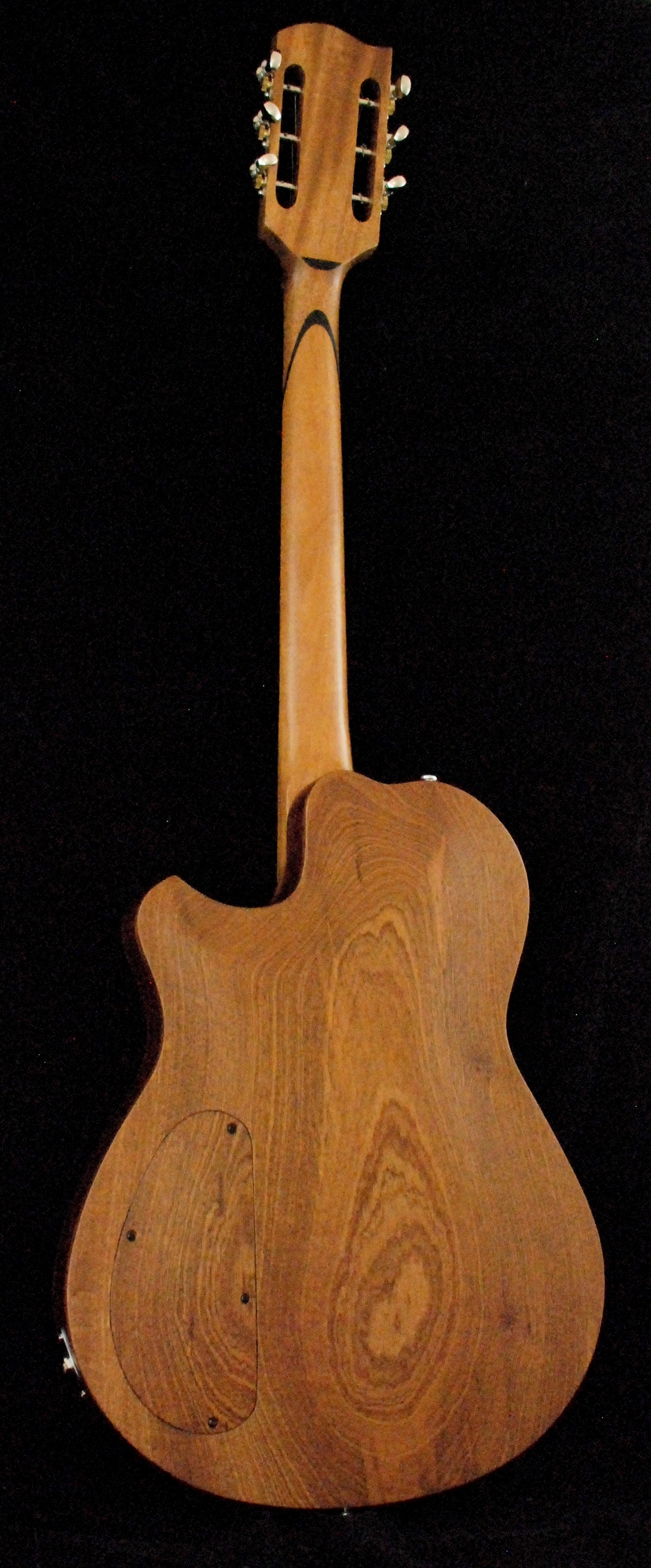 hollow body sitar (12)