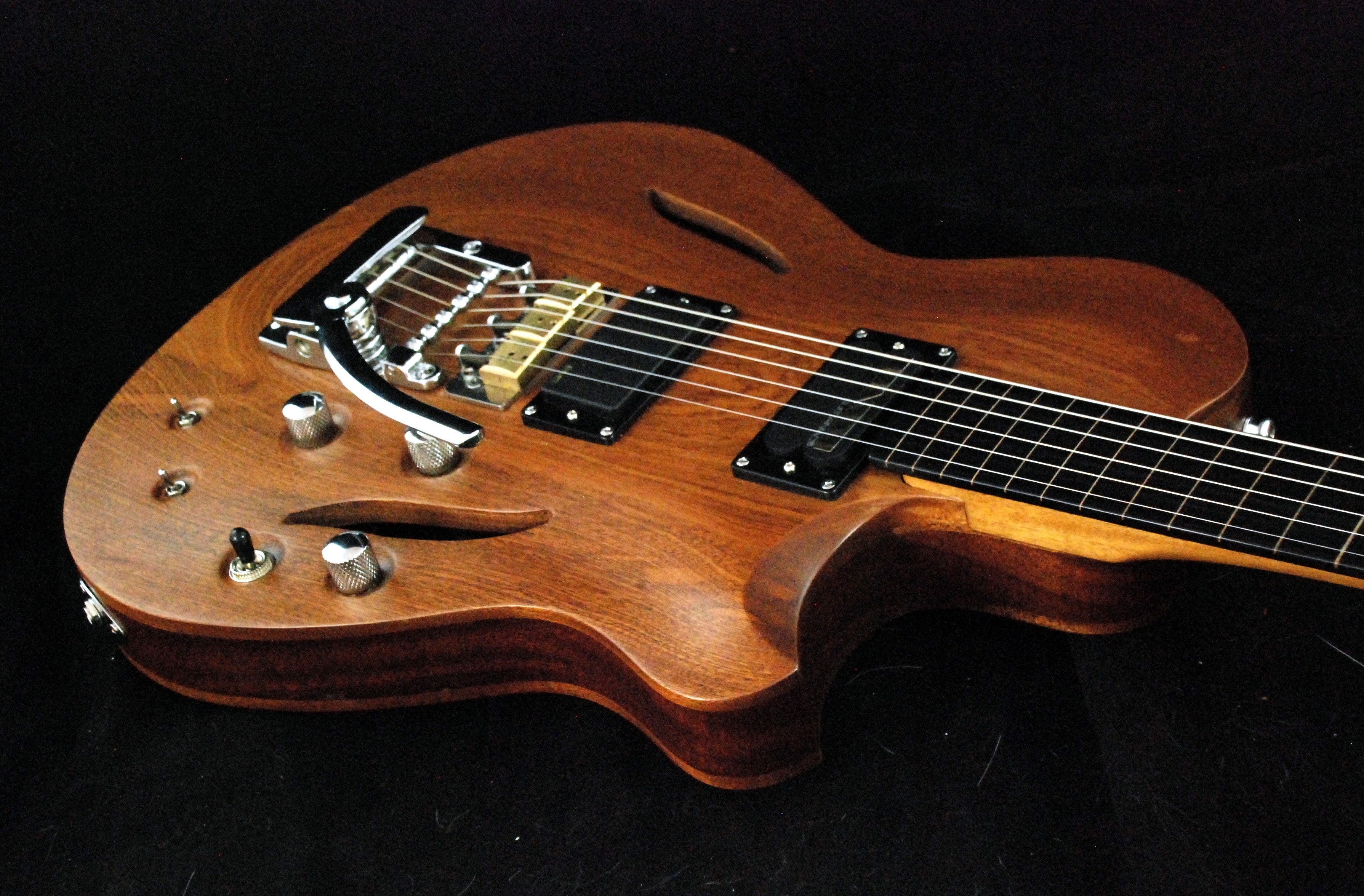 hollow body sitar (2)