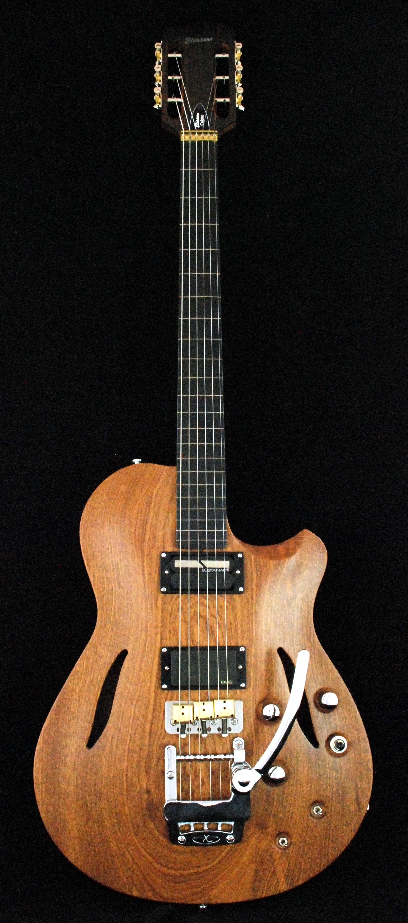 hollow body sitar (4)