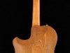 hollow body sitar (10)