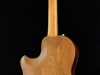 hollow body sitar (14)