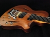 hollow body sitar (2)