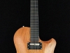 hollow body sitar (4)