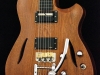 hollow body sitar (7)