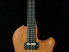 hollow body sitar (8)