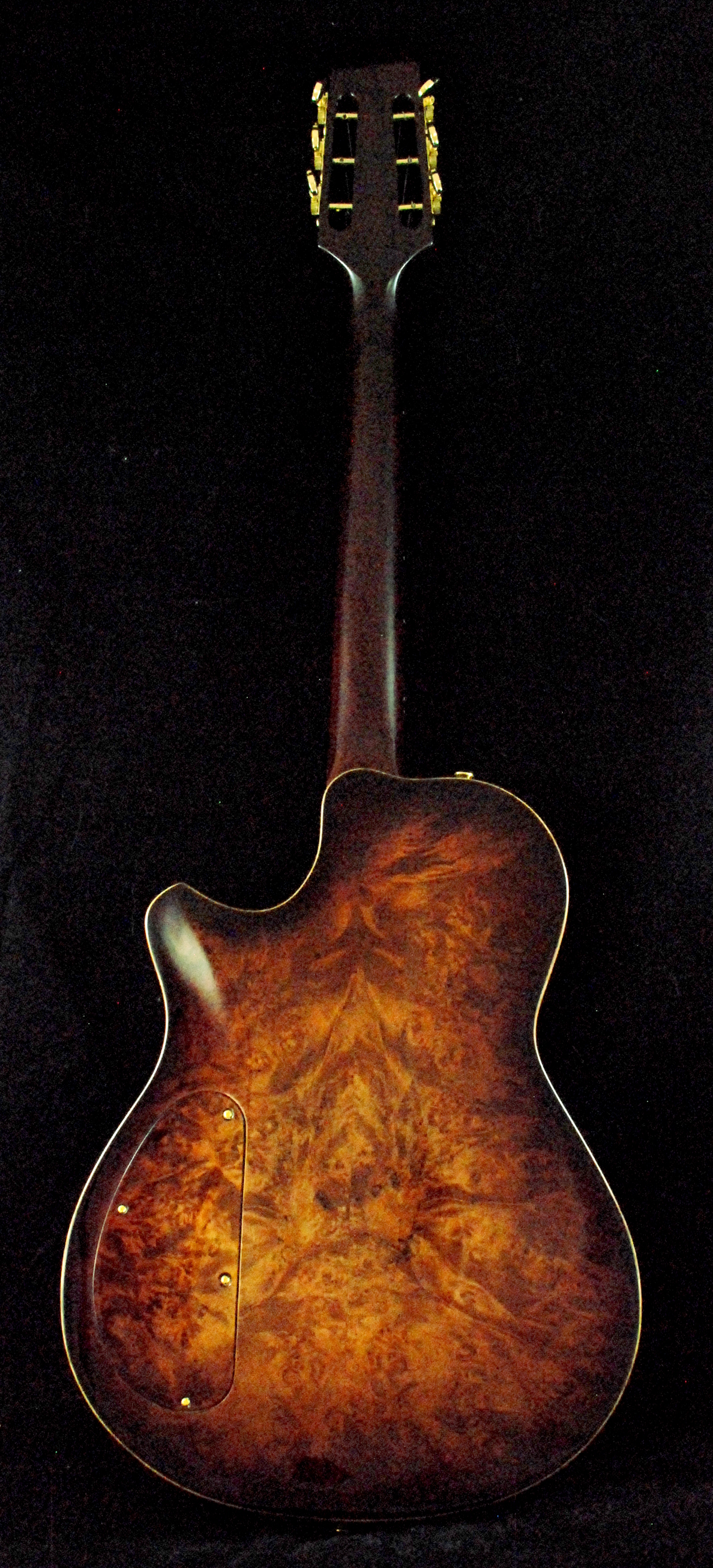 Fretless Colette (16)