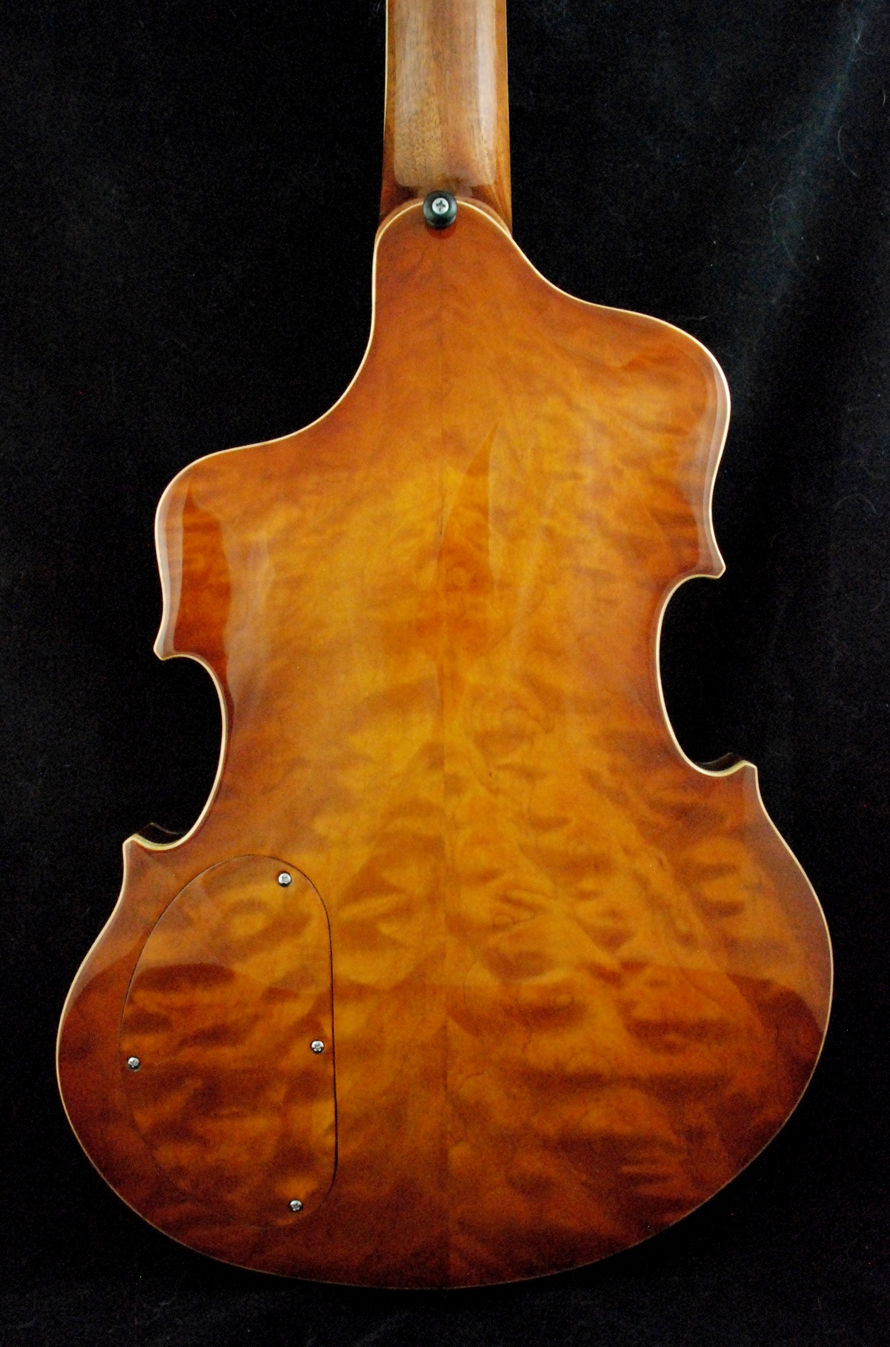 Wilfried Violin (10)