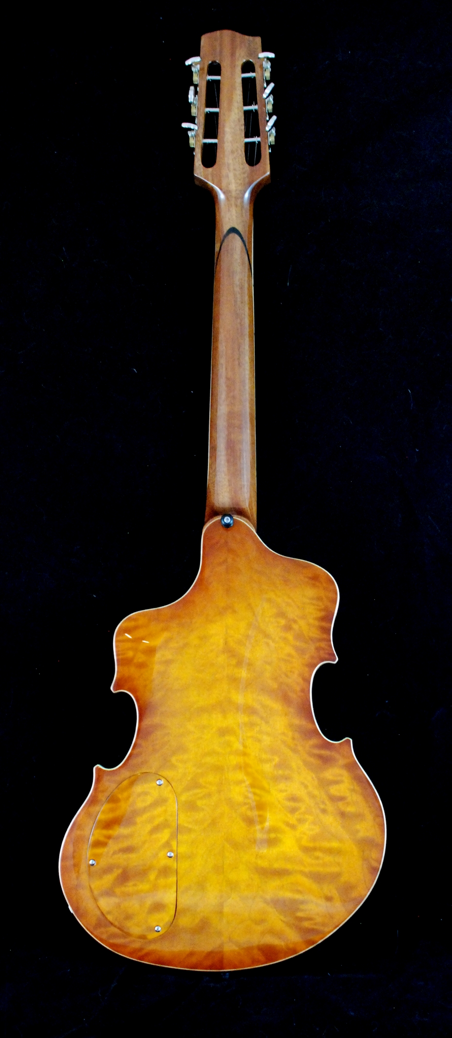 Wilfried Violin (22)