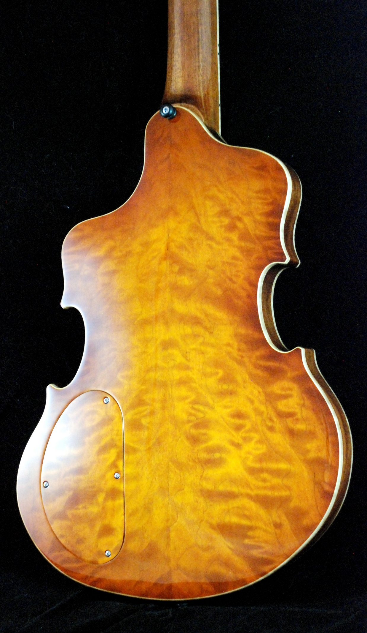 Wilfried Violin (25)