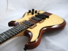 neck-thru-alembic-7