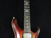 PRS Copy (12)